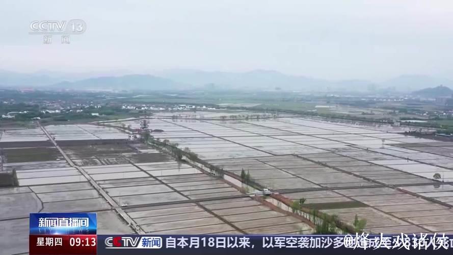 全国已春播粮食3500多万亩